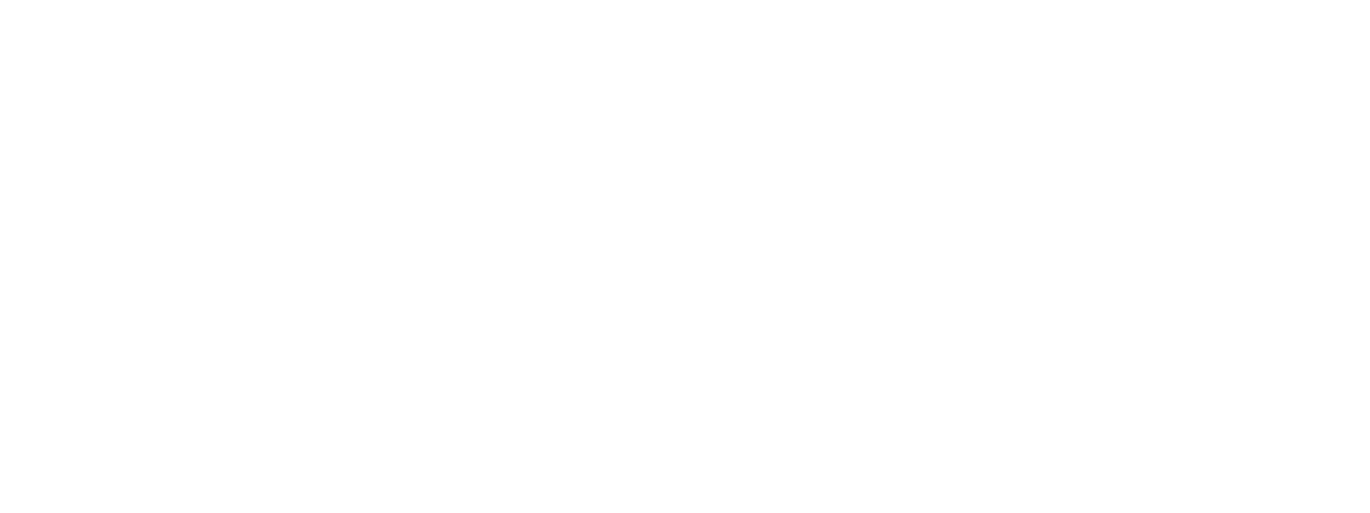 Minte Logo